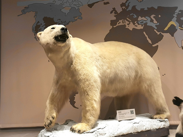 image011.jpg