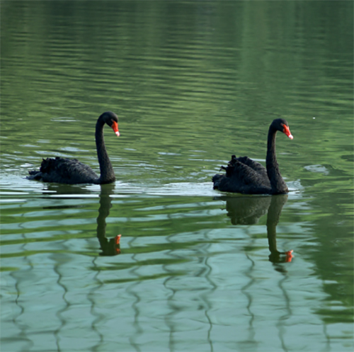 image061.jpg