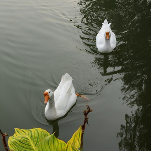 image063.jpg